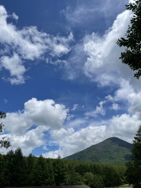 毎朝…気持ちいい。